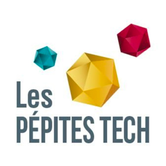 Logo Les Pépites Tech
